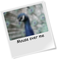 Mouse over me